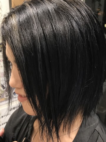 ブルージュボブ