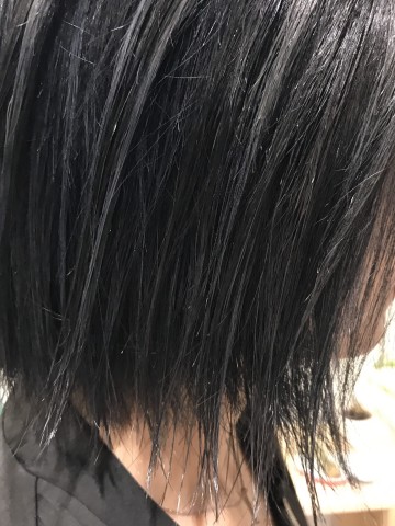 ブルージュボブ