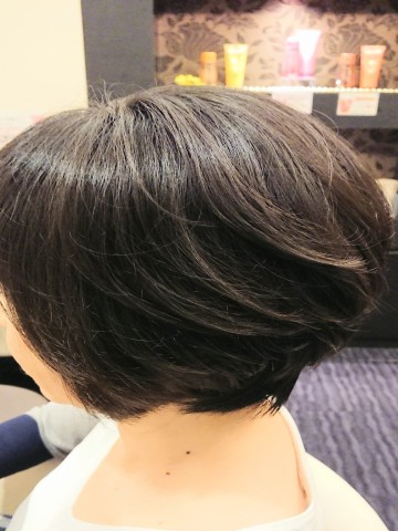 ミニボブ
