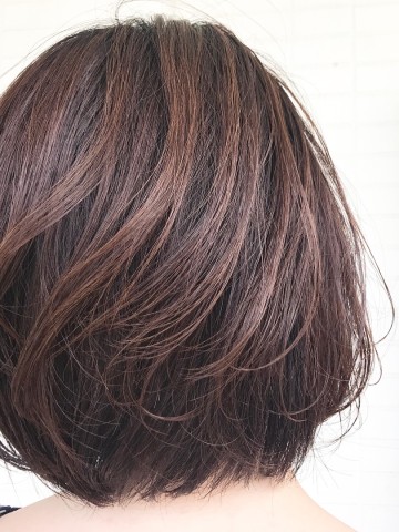spring bob