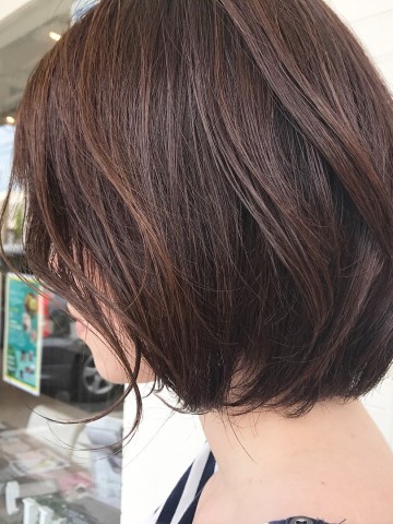 spring bob