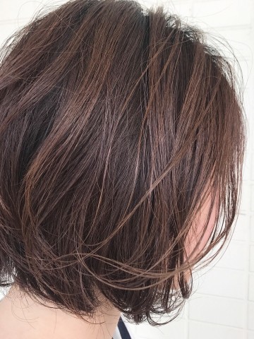 spring bob