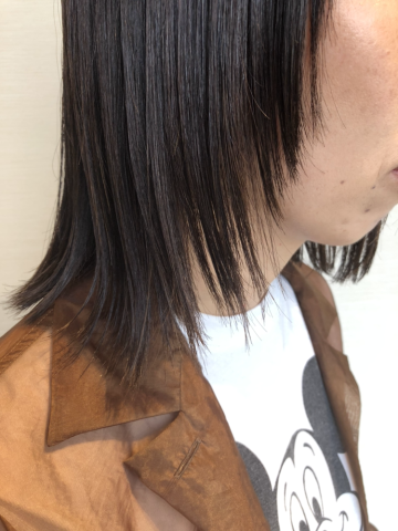 マッシュライン
