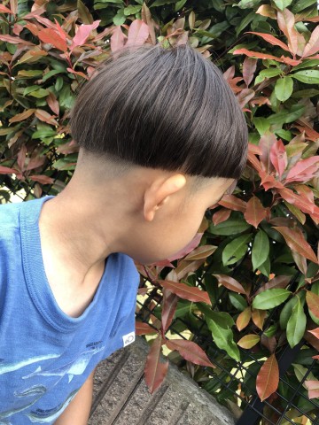 きのこくん