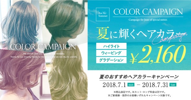 2018 Summer Color Campaign